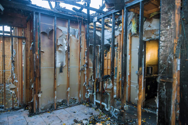Professional Fire Damage Removal technician working in Daniels, WV